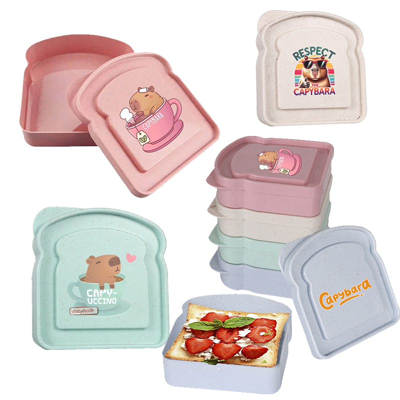 กล่องเก็บอาหารลายคาปิบารา สำหร - Food Storage Boxes With Lids บทวิจารณ์และราคา