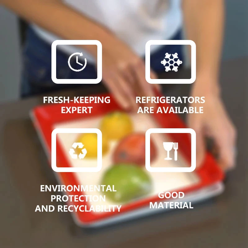 ถาดถนอมอาหาร PP ถาดใส่อาหารแบบ - Food Storage Food Safety บทวิจารณ์และราคา
