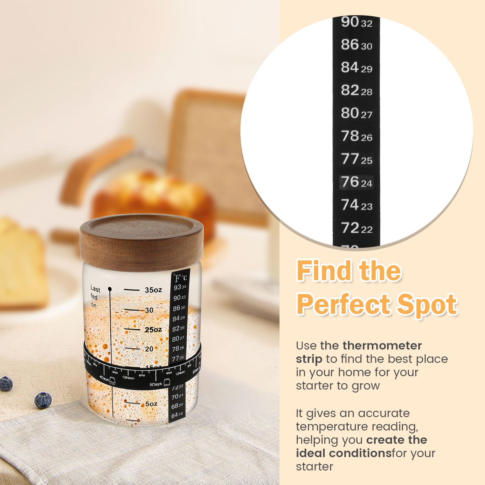 Sourdough ชุดโถสำหรับเริ่มใช้ง - Food Storage Tank บทวิจารณ์และราคา