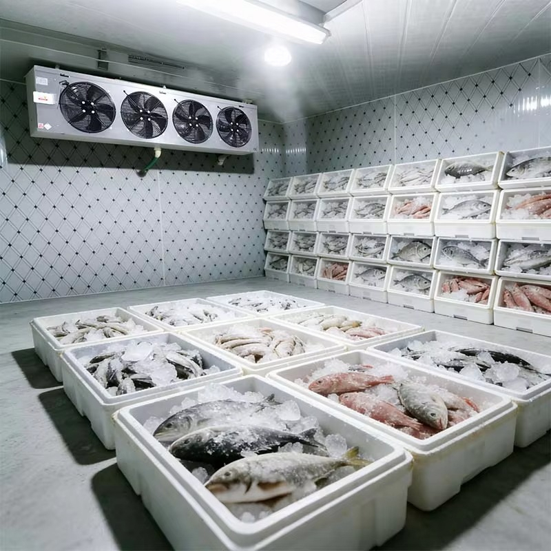 ห้องเย็นเก็บอาหารแบบกำหนดเองได - Food Storage Food Safety บทวิจารณ์และราคา